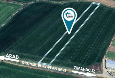 Teren de 10422 mp, în Zimandcuz - 3