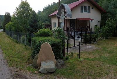 Casă în Băișoara - 3