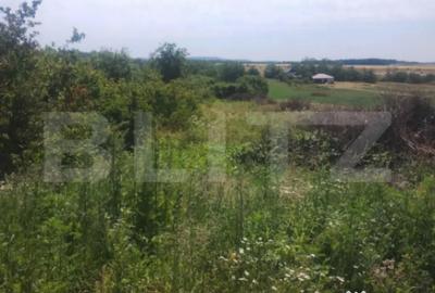 Teren de 1918 mp, în Ardud - 1