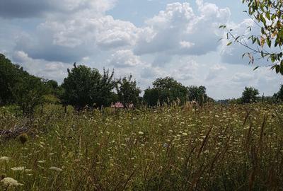 Parava, sat Dragusani, teren 4800mp, la asfalt - 10