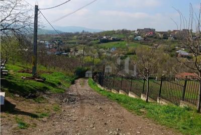 Teren de 7009 mp, în Ciurbești