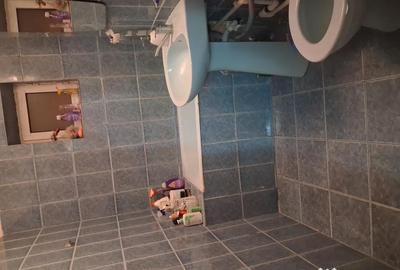 Apartament cu 3 camere decomandat în Debarcader - 2