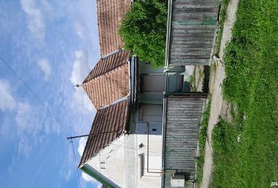 Casa de vanzare la tara - 1