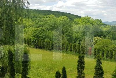 Investitie ! Casa de vacanta 350 mp utili ,teren 3000 mp in - 2