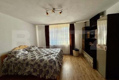 Casa de vanzare in Sugag Ideala pentru locuin?a sau investi?ie. - 12