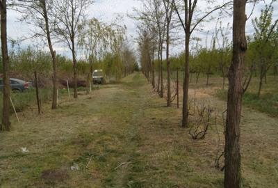 Teren în Gheorghe Lazăr - 3