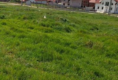 Teren de 700 mp, în Exterior Vest - 2