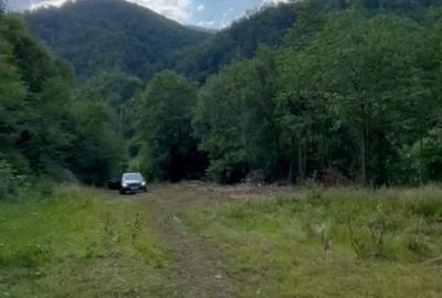 Teren pentru constructie in Valea Ierii cu front la dum asfaltat si utilitati - 1