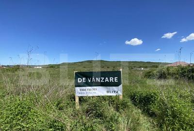 Teren Intravilan zona Industriala - 6