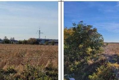 Teren intravilan 1 Decembrie, judetul Ilfov, ID: R2319723 - 6