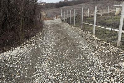 Spațiu comercial, în Borhanci - 2