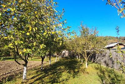 Casă cu 4 camere în Purcăreni (Micești) - 5