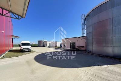 Hala 1200 mp pentru depozitare+rafturi industriale inclus... - 2