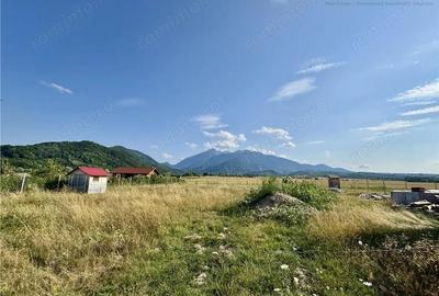 Teren, intravilan, locatie superba - 4