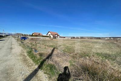 Teren de 1800 mp, în Preajba