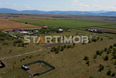 Teren intravilan Livada Sanpetru Teren intravilan Livada Sanpetru - 7