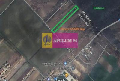 Teren de 12620 mp, în Săbăreni - 2