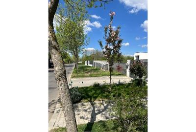 Teren Construcții intravilan de 2000 mp, în Dămăroaia - 2
