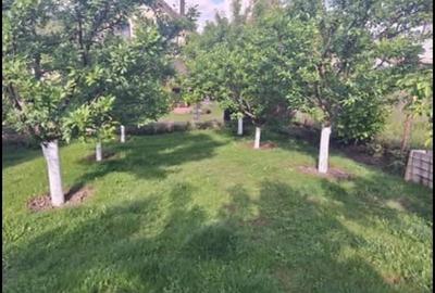 Casă cu 3 camere cu Teren 1000 Mp în Central - 1