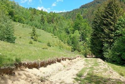 Casă cu 2 camere în Horea - 2