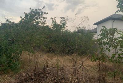 Vanzare  Casa  cu teren 1400mp  Voluntari - 3