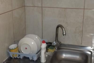Garsonieră în Valea Rosie - 2