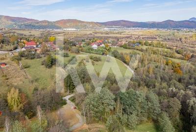 Vanzare teren intravilan 37723 mp Zarnesti Tohanita - 12