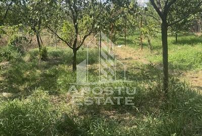 Casă unifamilială cu teren de 1504 mp - 20