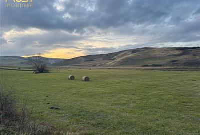 Teren Extravilan I 6000 Mp I Acces la drum | Cojocna - 1