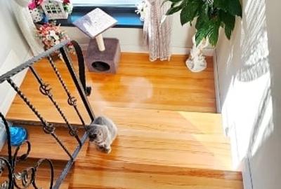 Duplex cu 4 camere cu Canalizare în 1 Mai - 10