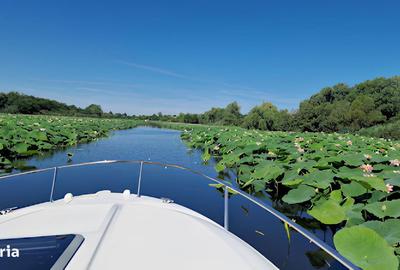 Teren de 1976 mp, în Snagov - 2