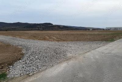 Teren de 1350 mp, în Tâmpa - 6