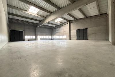 Spațiu industrial, de 255 mp, în Vest - 12