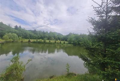 Teren de 23000 mp, în Central - 1