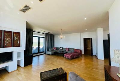 Aleea Privighetorilor- Penthouse 833 mp utili mobilat complet 3600 Euro + TVA