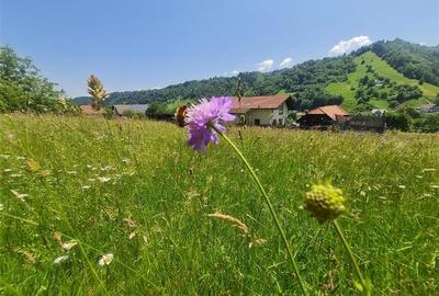 FILM!View superb catre munti,teren pretabil constructie Hotel,4.400 mp, Moieciu - 18