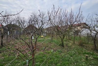 Giarmata  Mare – Casa 4 Camere – Central – Teren - 16