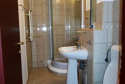 Garsonieră decomandată, mobilată în Nerva Traian - 10