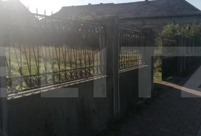 Teren de 3600 mp, în Teiu - 1