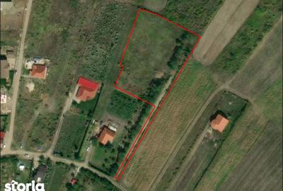 Teren de 5000 mp, în Paleu