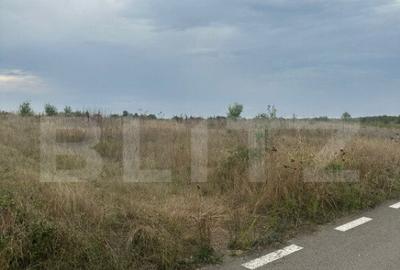 Teren intravilan/extravilan, 1500 mp, Cazaci - 4