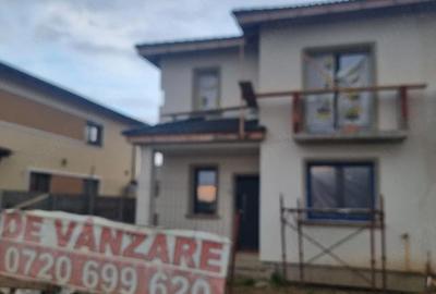 Casă cu 3 camere cu Teren 325 Mp în Șag - 1