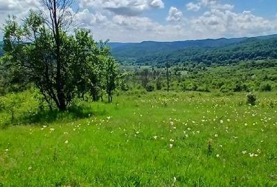 Teren de 10000 mp, în Valea Iașului - 6