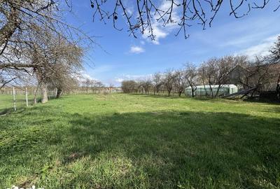 Casă cu 2 camere cu Teren 1702 Mp în Șercaia - 1