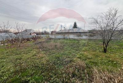 Casă cu 4 camere cu Teren 1154 Mp în Răchitosu - 15