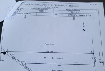 Teren de 12959 mp, în Brănești - 1