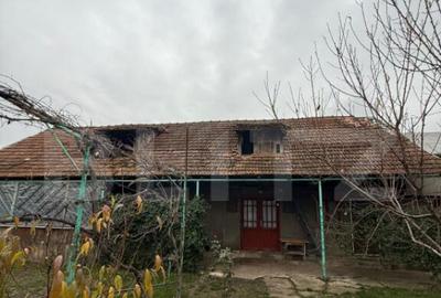 Proprietate completa in Sacuieni- Doua Case + Anexe - 1