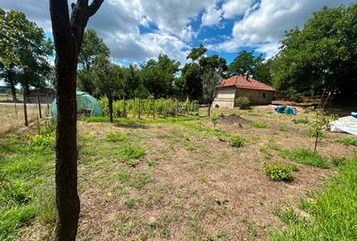 Teren intravilan 1089 m² - Aldeni - 15km de Buzău. Poziție ideală - 5
