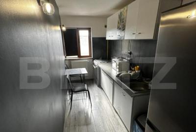 Apartament cu 2 camere decomandat în Brazda lui Novac - 3