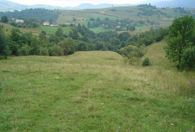 Teren de 25500 mp, în Vișagu - 2